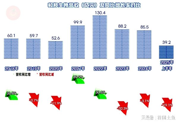 股涨柜 和邦生物2025年上半年继续下跌，新项目的建设进度如何？